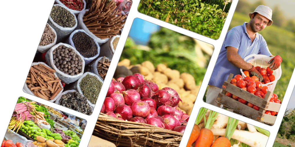 KisanSat Services Hero Image